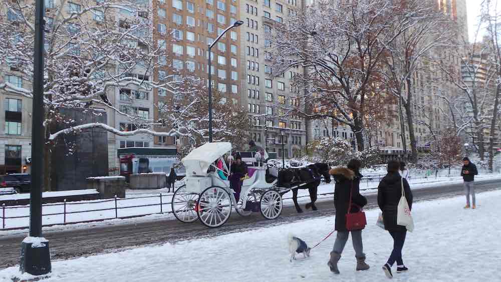 Snow in Central Park